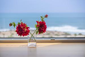 Fidalsa Paradise Sea Punta Prima