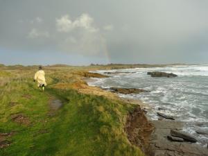 Maisons de vacances Maison de famille sur l'ile de Groix : photos des chambres