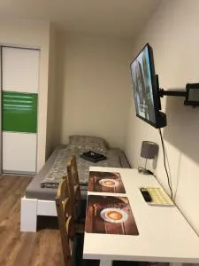 GottwaldHaus-Freiberg-Apartment / B - 大希尔马