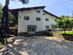 Pensiunea Puiu - Siliştea