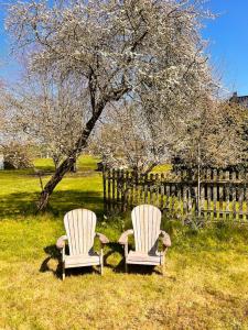 Sommerby Garden