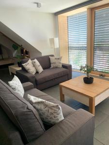 eco boutique hotel AMS Beagle 