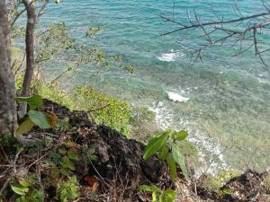 Siquijor Cottage Lynn with Solar System
