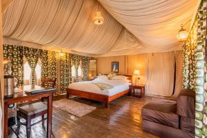 Seed At Queens Meadows, Ranikhet