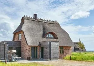 Reetdorf Geltinger Birk Künstlerkate Eisvogel - Nieby