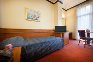 Single Room room in Hotel Kristal