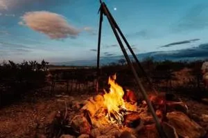 Top Camp Sites at Desert Gardens Oasis at Lobo, Texas - Lobo