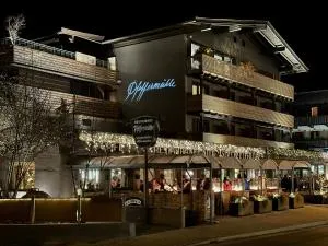 亚历山大酒店 - 蒂罗尔-基希贝格