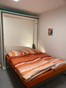 Zwillingsbuche - Grabau