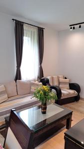 Kamena Kuca Lux Apartment