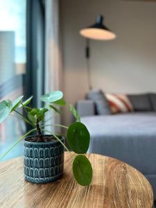 De ole School Ferienapartments Hohwacht Large-Apartment 16 , Huus Meven