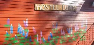 HOSTEL and VANDRARHEM LUPIN Naturcamping Lagom - Axland