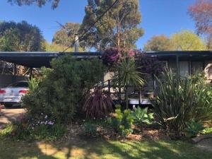 Beach Cottage in Ventnor