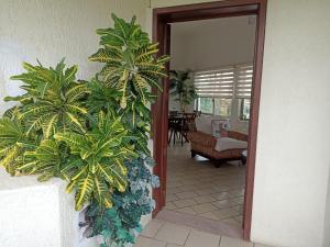 Hermoso apartamento en Manzanillo con alberca y cancha de tenis, Ideal para relajarse y disfrutar de una escapada tranquila en el paraíso tropical