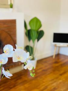 Appartements Le Blue - Coeur de ville : photos des chambres