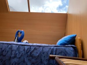 Soraypampa Hostel - Private Cabins & Dorms for Self-Guided Humantay & Salkantay Trek -Comidas-hot shower-wifi-Pack horses