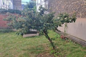 Appartement lumineux Paris nord-est