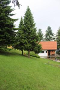 Apartmani Planinska kuća, Jagodnja