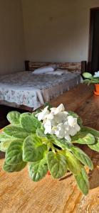 Refugio Caminho dos Ipês