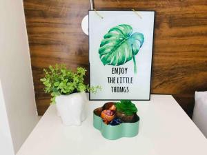 V320 Espaço Inteiro Wi-Fi Exclusivo Área Central