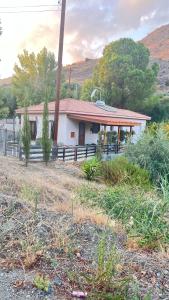 Evie's House Arakapas