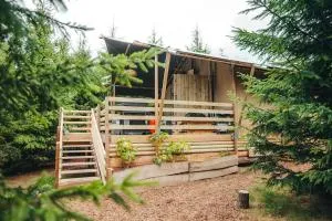 Cosy Forest Lodge - Pen y Clawdd