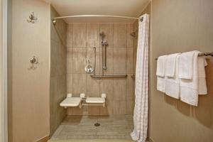 One-Bedroom King Suite with Roll-In Shower - Mobility Access/Non-Smoking room in Embassy Suites Montgomery - Hotel & Conference Center