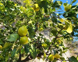 Appartements Bergerie de la Foux : photos des chambres