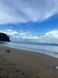 Cabaña La Marea - 3hvězdičkové hotely ve městě Bahía Solano