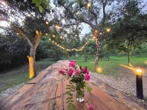 Anka Villa Venuestay