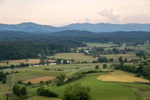 Holiday home in Smarjeske Toplice - Kranjska Krain 45723