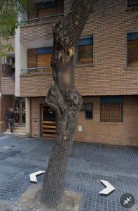 MilcaCeleste Nueva Cordoba II