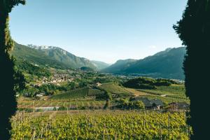 Villa Pruner