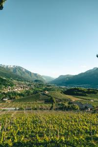 Villa Pruner