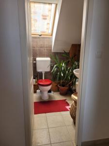 Tótvár lovarda szálláshely