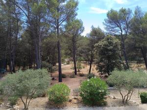 Sejours chez l'habitant Ecrin de nature sous les pins : Chambre Lit King-Size - Vue sur Jardin