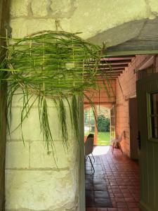 B&B / Chambres d'hotes Domaine de Fresnoy : photos des chambres