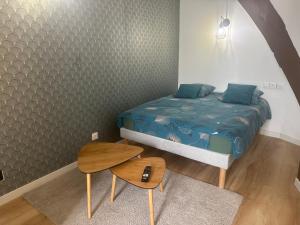 Magnifique Studio - Hypercentre ancien pieton Orléans - Wifi - Accès autonome