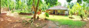 Hiriketiya Green Hill Home