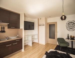 Voltaire Lion Suite - 5 min Hypercentre - Parking Privé