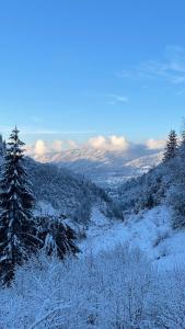 Chalets Chalet*** au pied d'une prairie face a la montagne : photos des chambres