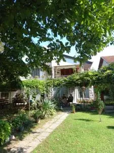 Apartmani Pasuljevic Srebrno Jezero - Socolari