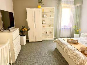 Deluxe Studio room in Grey House