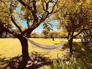 Quinta Tilia - Farmhouse