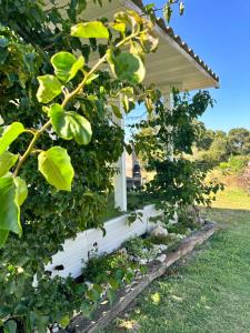 Sejours a la ferme les bungalows de Lisa Maria : photos des chambres