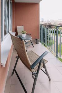 Family Aquarium Haven