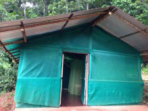 Isla Violin Eco-Lodge