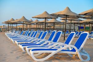 Ivy Cyrene Sharm Resort Adults Friendly Plus 13