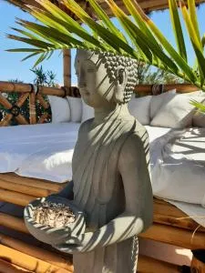 Zen et nature - Comps