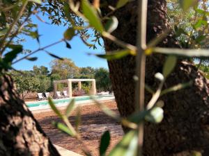 Villaria Luxury apulian villa with pool